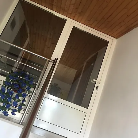Apartment Meri Bibinje Exterior photo